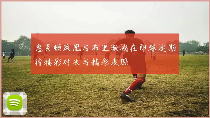 惠灵顿凤凰与布里激战在即球迷期待精彩对决与精彩表现